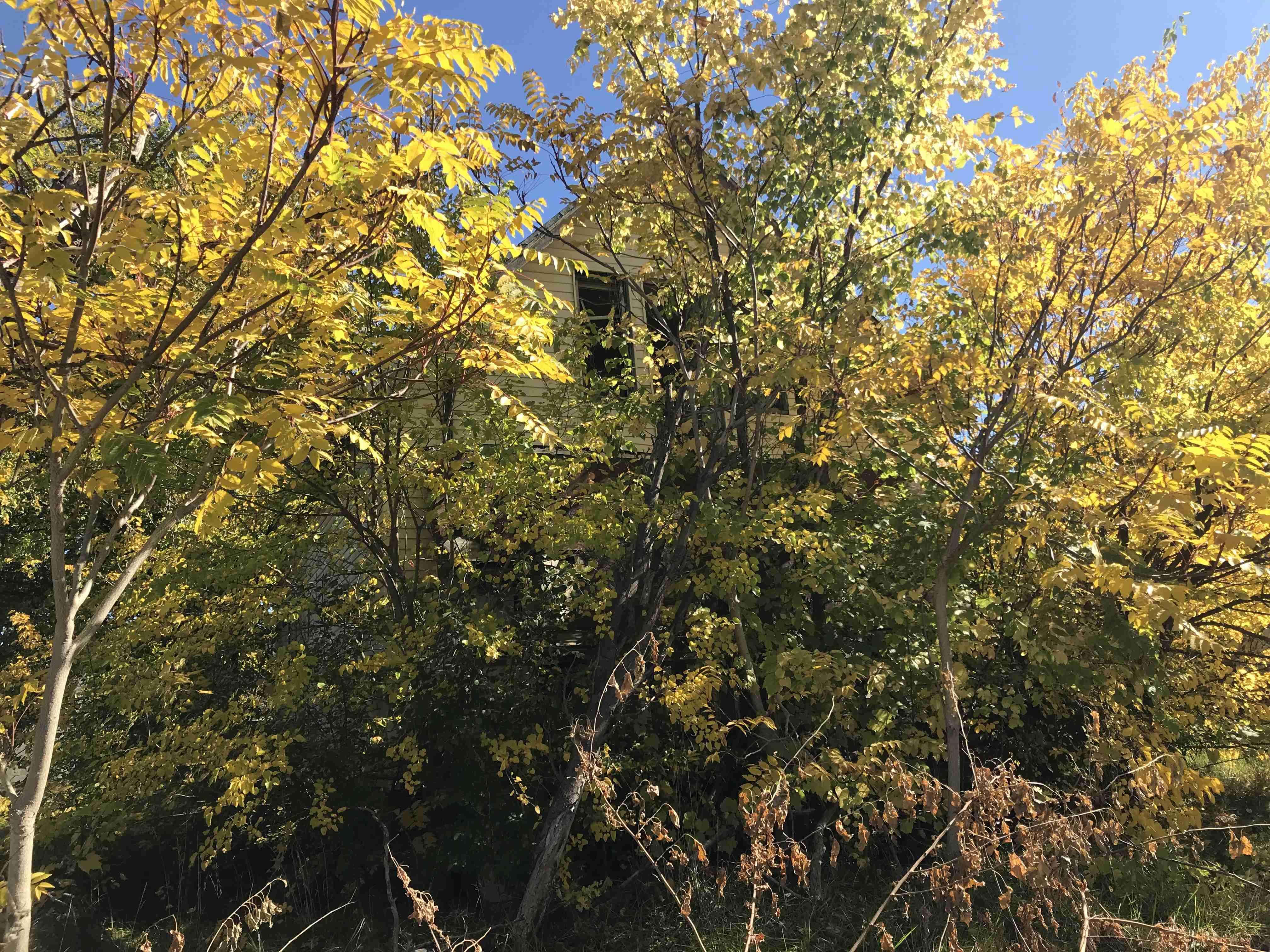 Photo Oct 13, 12 12 25 PM.jpg